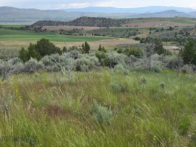 Homestead Clarkston, Three Forks, MT, 59752