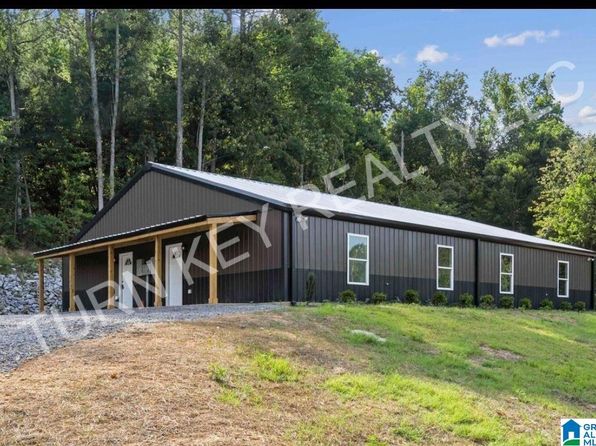 1035 County Road 1303 #3