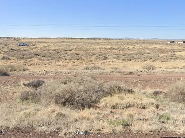 29 County Rd 6025 -- #106, St Johns, AZ 85936