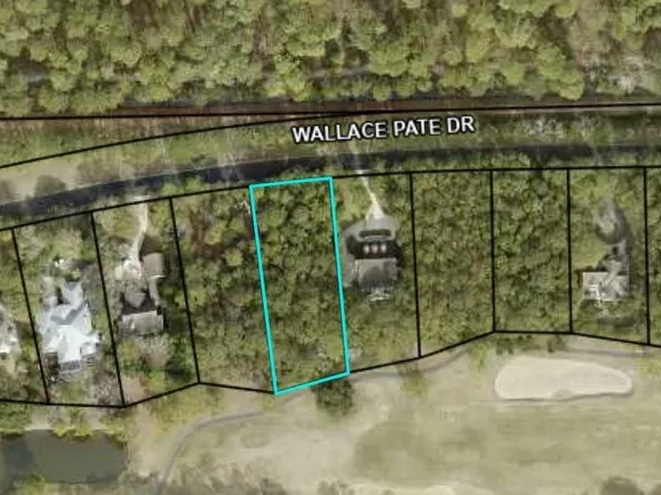 Lot 105   WOOD Wallace Pate Dr., Georgetown, SC 29440