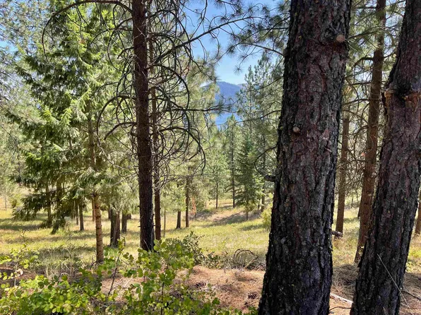 LOT 18 W Canyon Springs Way, Loon Lake, WA 99148