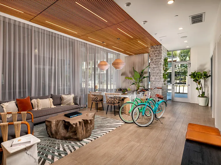 Haven Apartments — Photo 13
