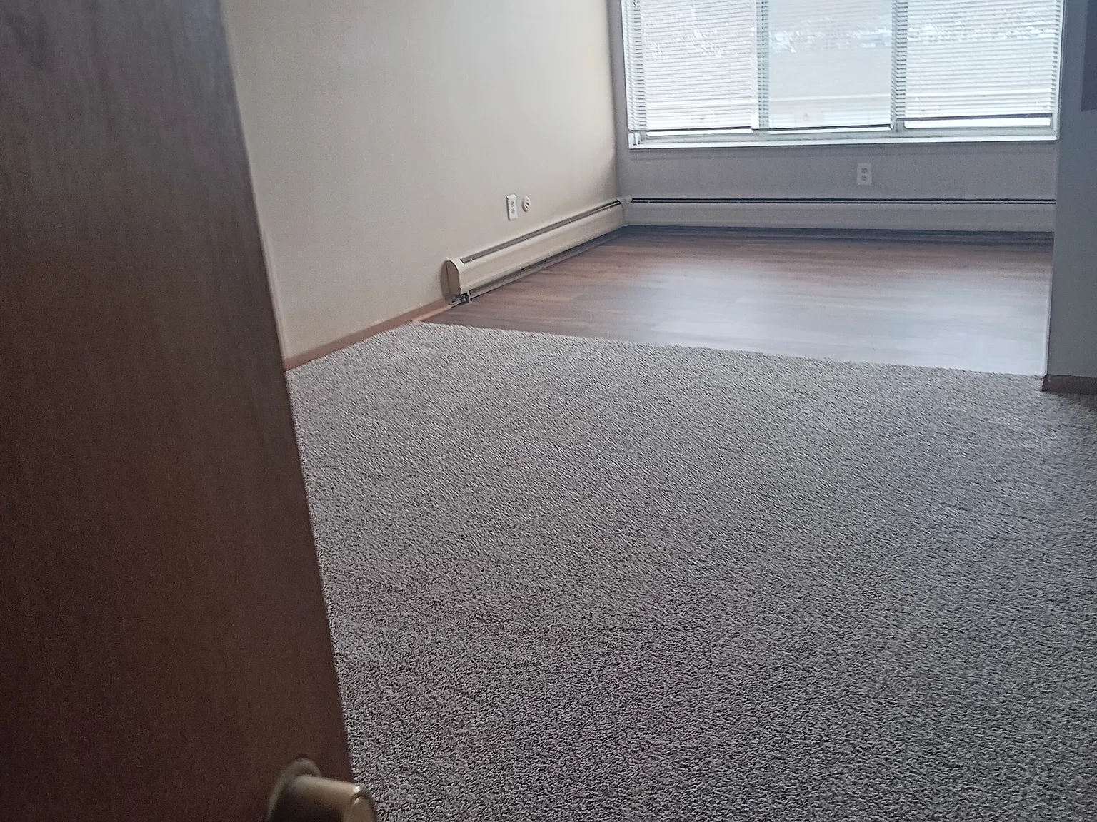 1 bed, 730 sqft, $950 — Photo 3