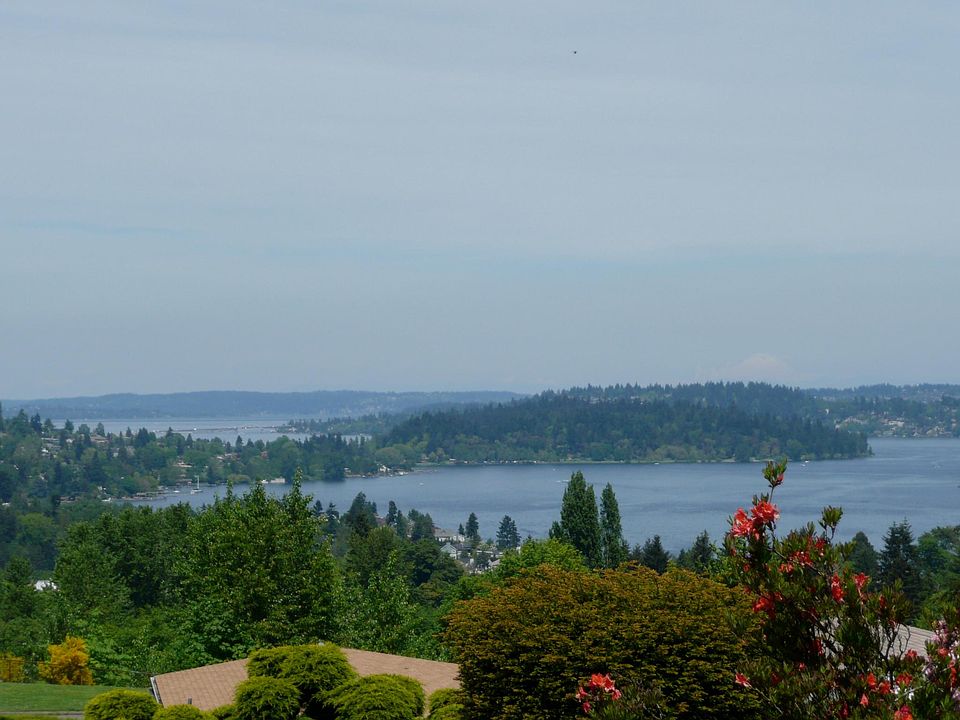 View of Lake Washington 