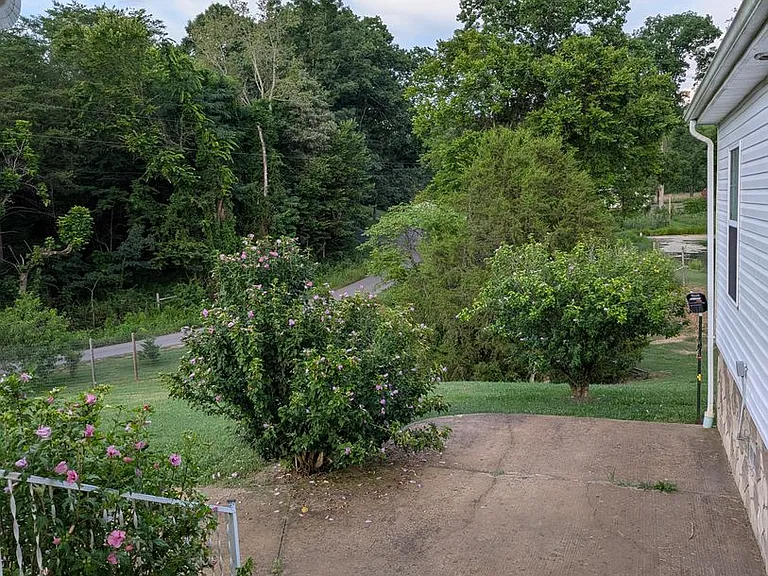 1055 Gunter Corner Rd — Photo 44