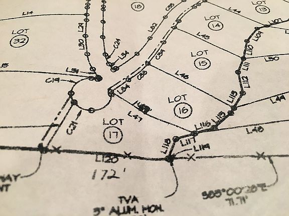 Borders National Forest 