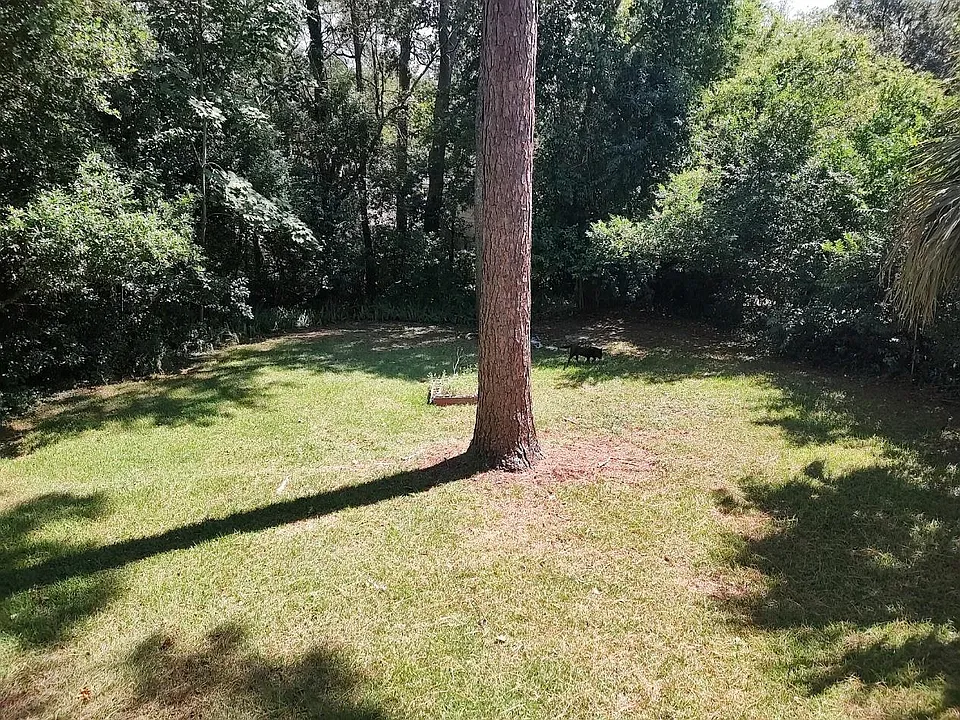 HUGE backyard!