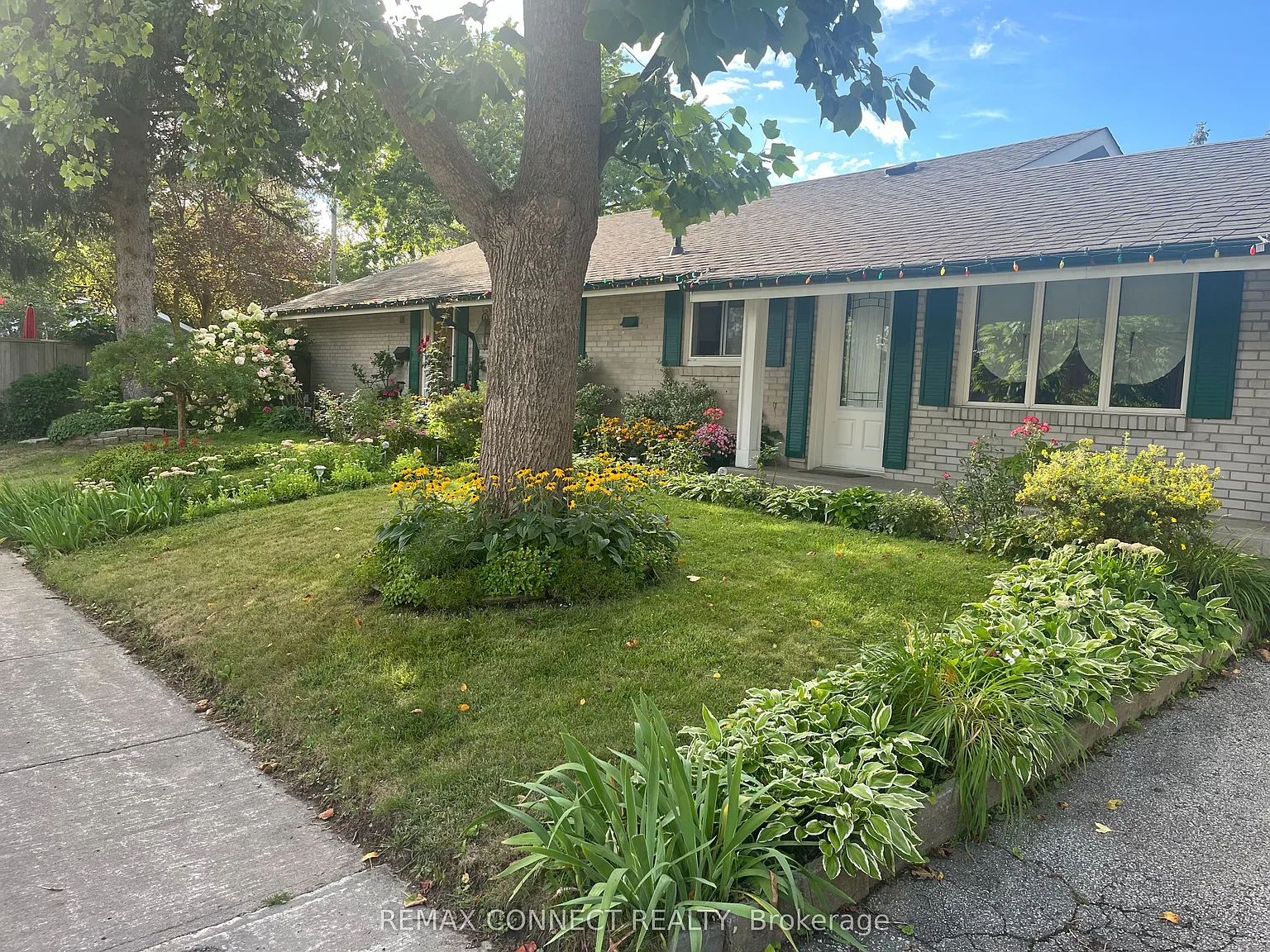 1 bed, $1,650 — Photo 2