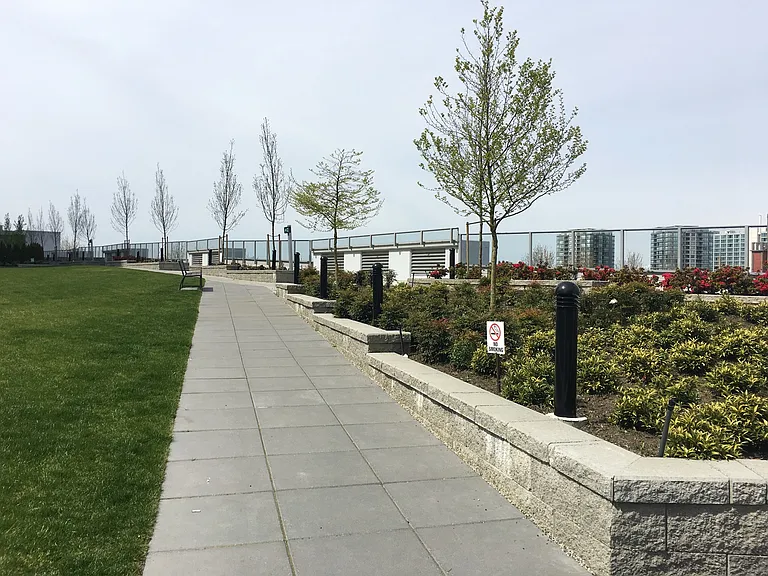 Condo facility - roof garden.