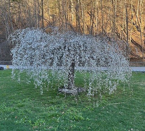 3rd image of 408 Indian Creek Rd