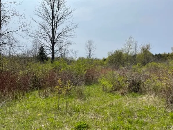 0 E Lake Rd, Madison, NY 13035