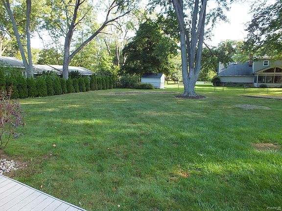 Backyard (A)