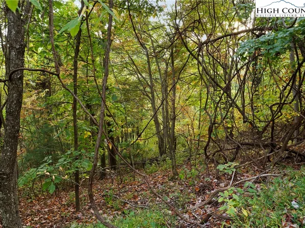 Lot 16 Little Ivy Lane, Deep Gap, NC 28618