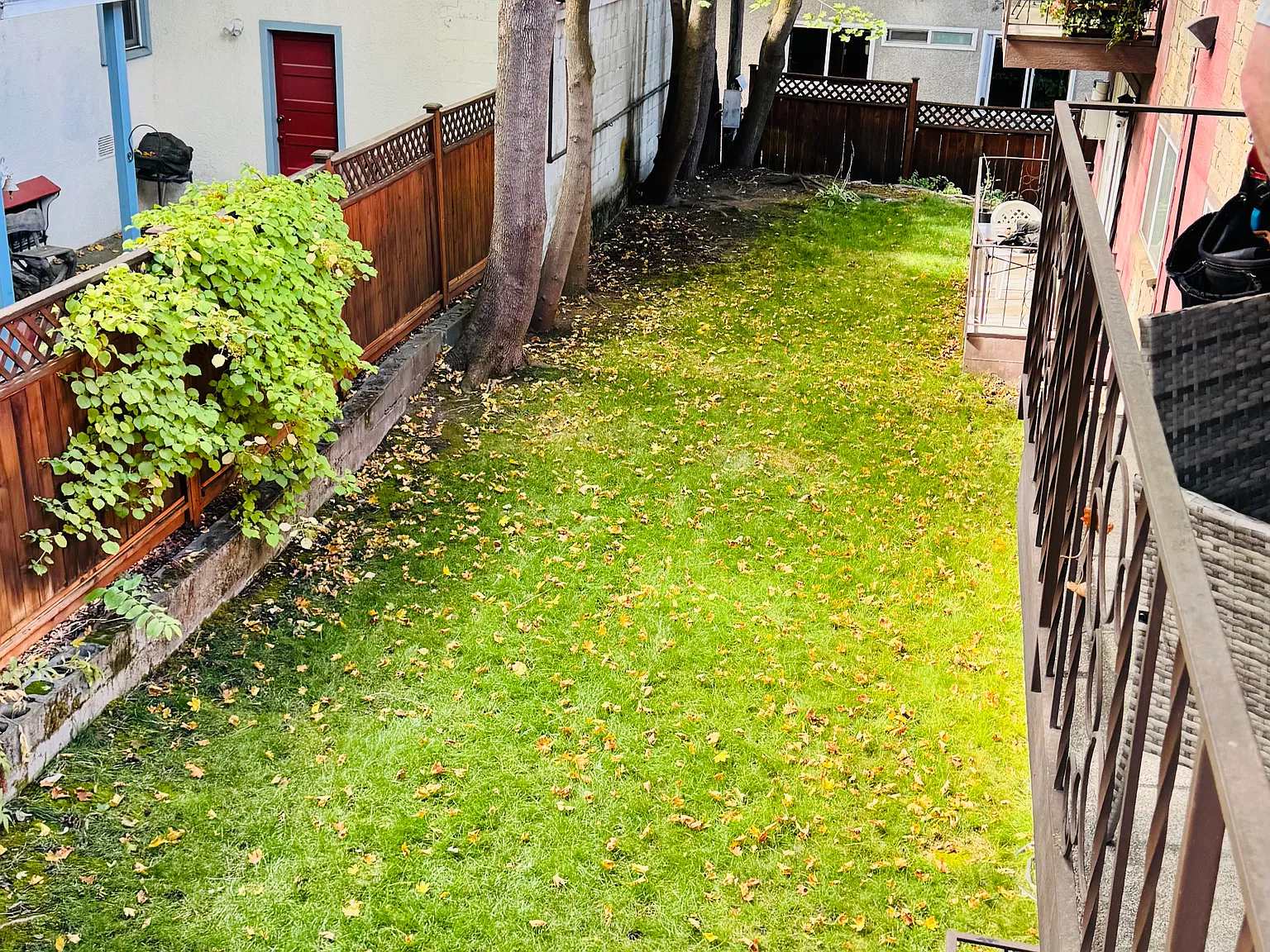 1 bed, 800 sqft, $1,300 — Photo 4