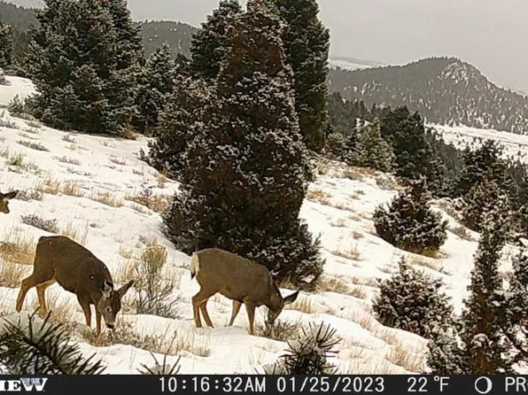 LOT 74 Pony Express Trl, Ramsay, MT 59748