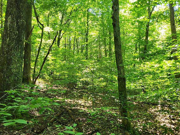 3rd image of 1 Indian Creek Rd