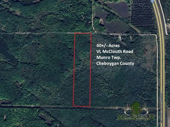 Vl McClouth Rd, Levering, MI 49755