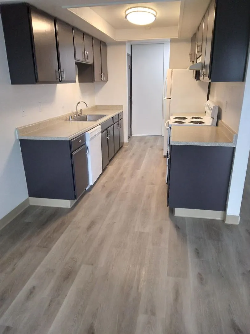 Forest View Apartments — Photo 4