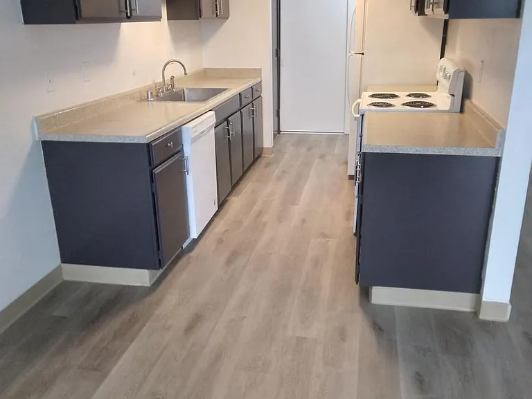 Forest View Apartments — Photo 5