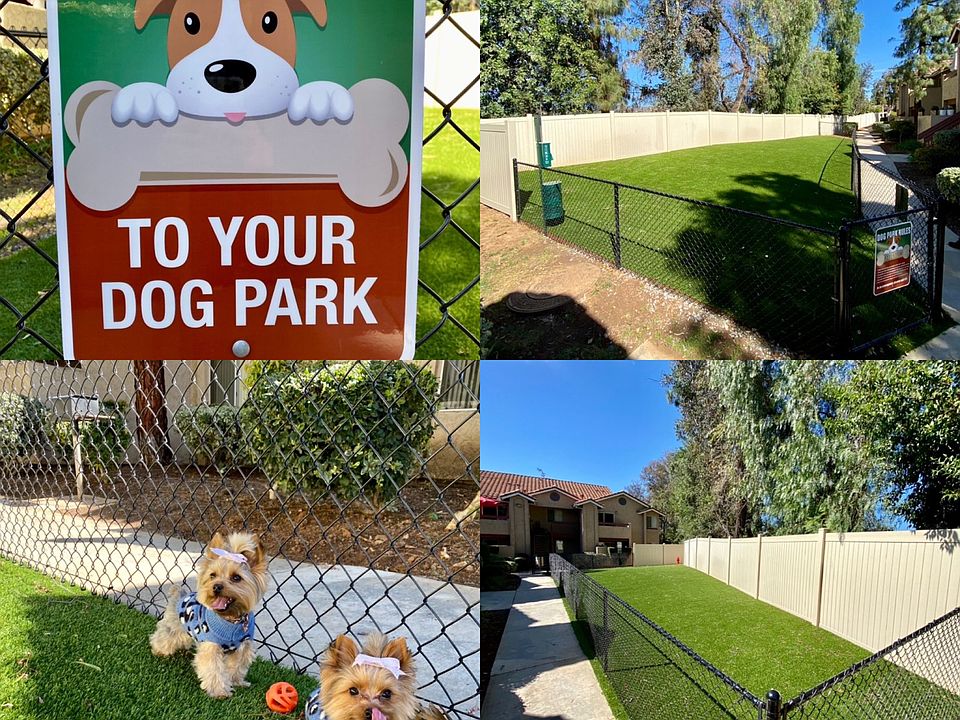Dog Run 2