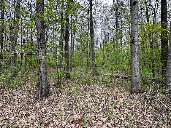 5th image of LOT 92 Doe Ct