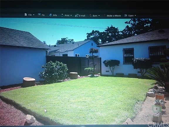 back yard