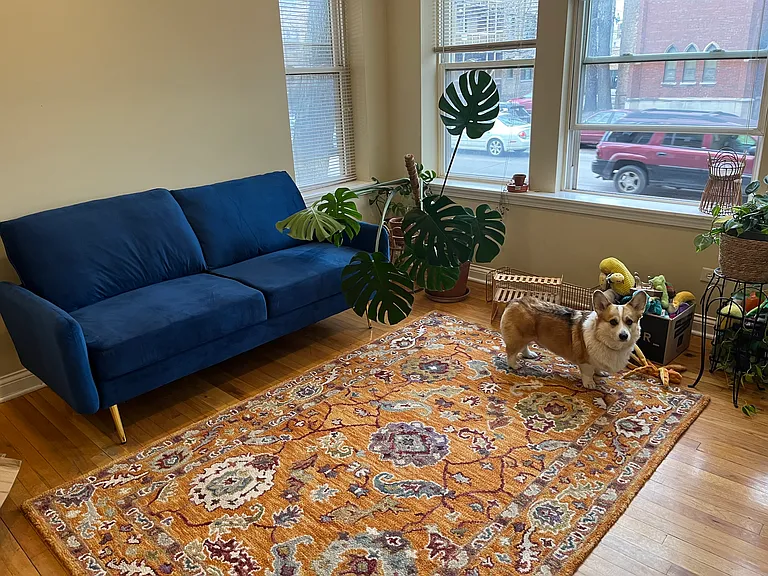 2748 N Kostner Ave #1 — Photo 5