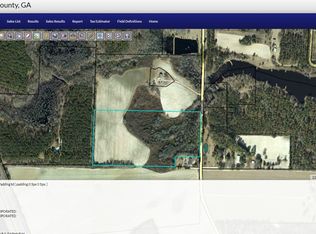 Gosa Rd, Smithville, GA 31787