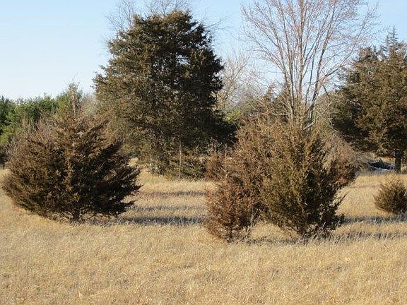 5th image of LOT 2 County Road Y