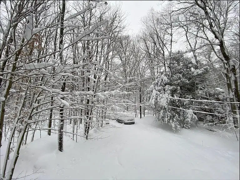 3550 Dogwood Ct — Photo 33