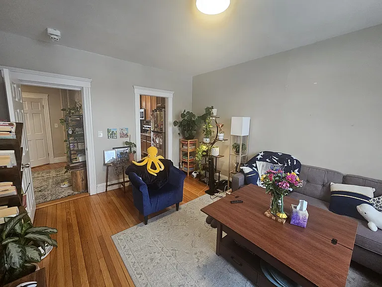 370 Chestnut Hill Ave #35 — Photo 5