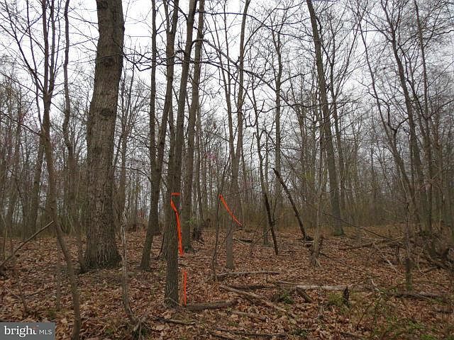 2nd image of 9542 Crystal Falls Dr