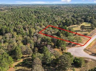 Private Road 3398 LOT 31, Big Sandy, TX 75755