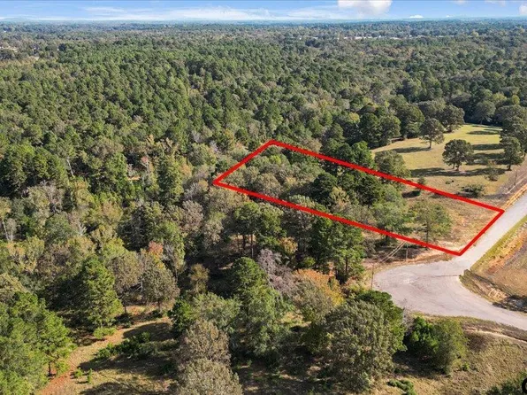 Private Road 3398 Lot 31, Big Sandy, TX 75755