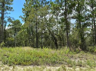 SW Timberlake Rd LOT 16, Dunnellon, FL 34431