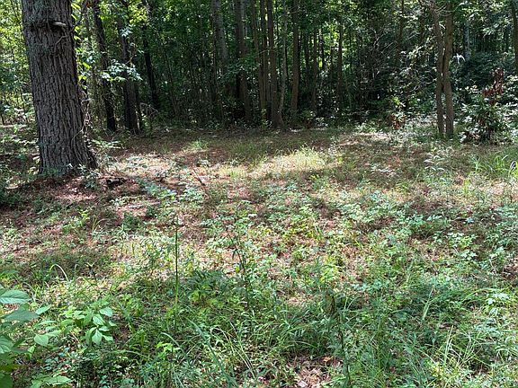 2nd image of 1061 Myrtle Dr
