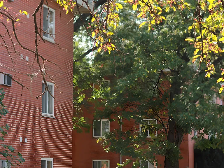 310 Fuller Ave #3 — Photo 18