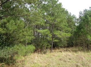 28742 Pleasant Frst, Magnolia, TX 77355