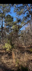 0 Pate Mill Road, Warrenton, GA, 30828