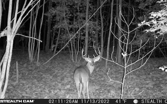 2nd image of Taylorsville Rd