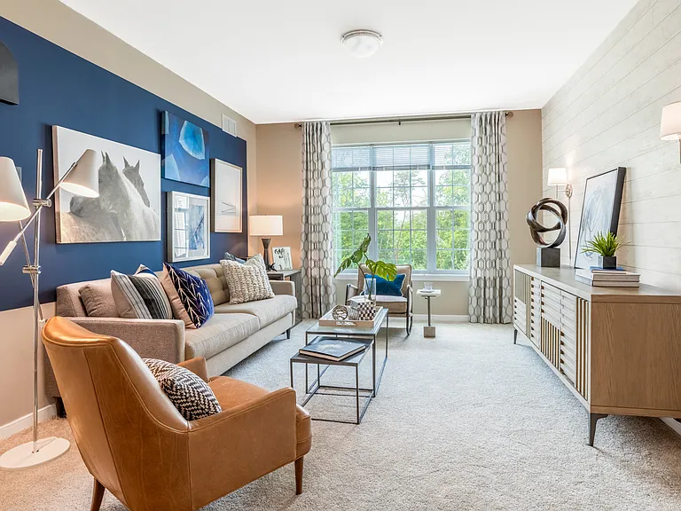 Designer Collection Living Room