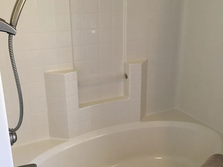 Tub / Shower combo Bathroom