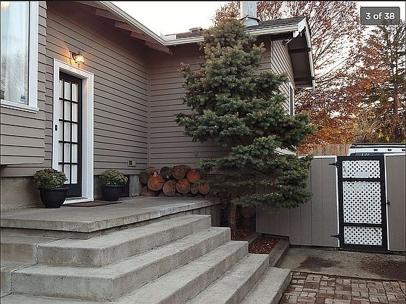 Back yard and back door