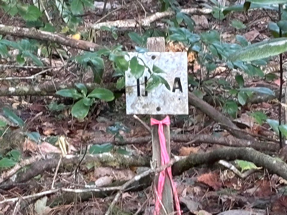 2nd image of Sweetwater Ln