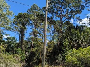 81 Pine Haven Dr, Palm Coast, FL 32164