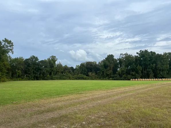 0 Love Road, Adrian, GA