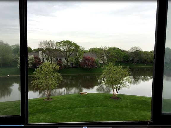 View from Dining 