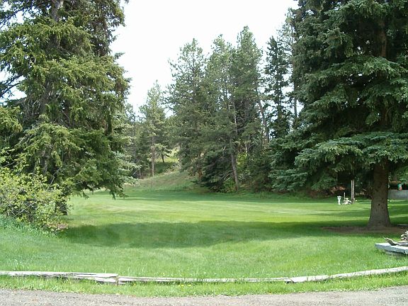 looking out at yard from driveway