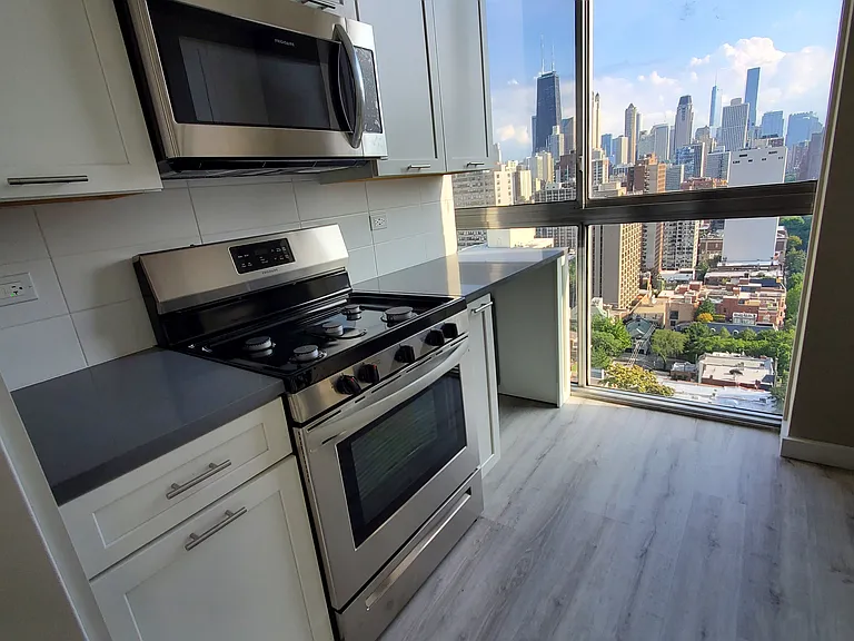1555 N Dearborn Pkwy #27E — Photo 5