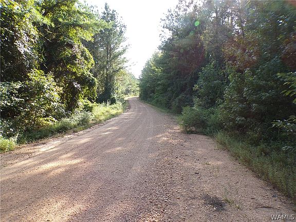 2nd image of 0 Luxapallila Rd